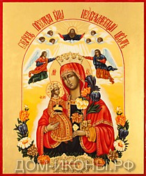 Икона Пресвятой Богородицы "Неувядаемый Цвет" (Л.С.29*35.ВА)