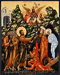 Икона "Воскрешение Лазаря" (Л.С.17*21.МС)