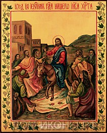 Икона "Вход в Иерусалим Иисуса Христа" (Л.З.24*31.НЕ)